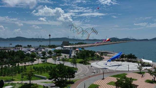 Kiteflying in a Coastal Park on a Sunny Day