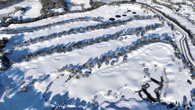 Snow-covered Landscape with Trees and Paths