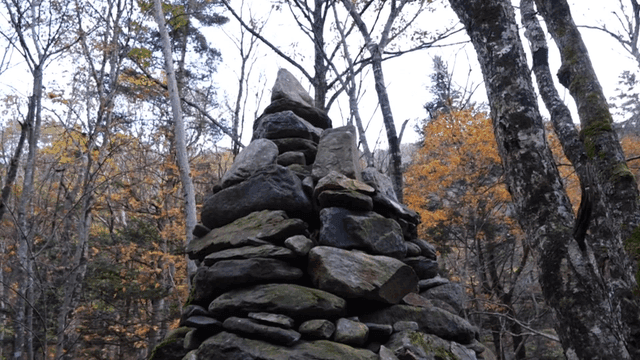 Stone cairns in a forest during autumn