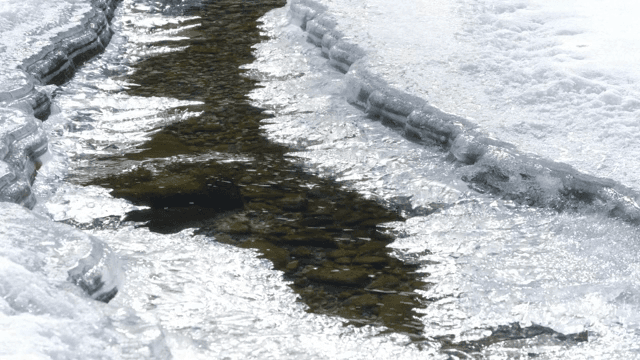 얼어붙은 시냇물 사이로 흐르는 물