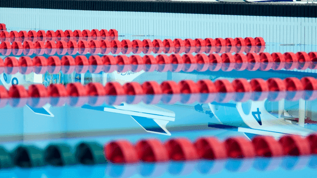 Empty swimming pool with lane dividers