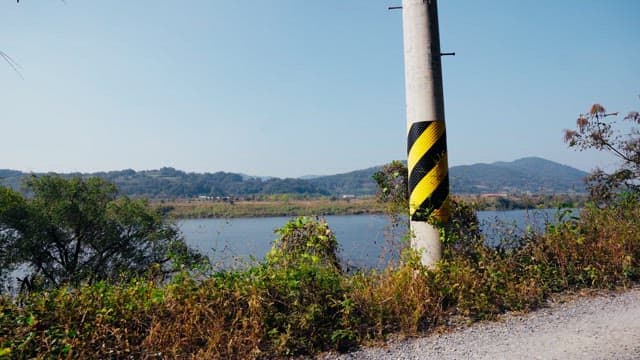 강변 녹지를 따라 날아가는 노란 나비