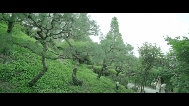 Woman taking photos in blue forest