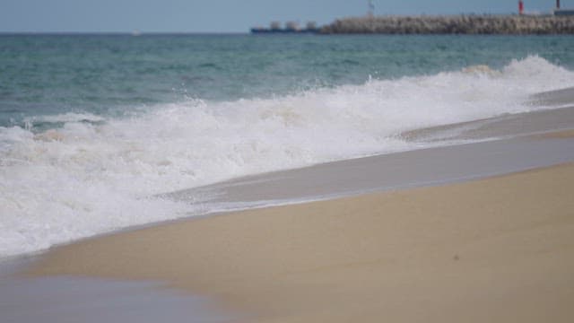 Waves Crashing onto the Sandy Beach