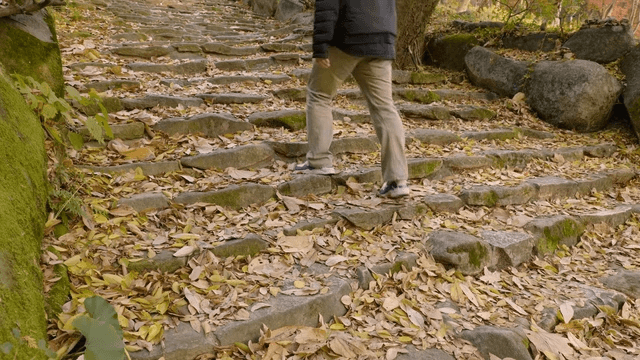Back of man walking up stone steps covered with autumn leaves