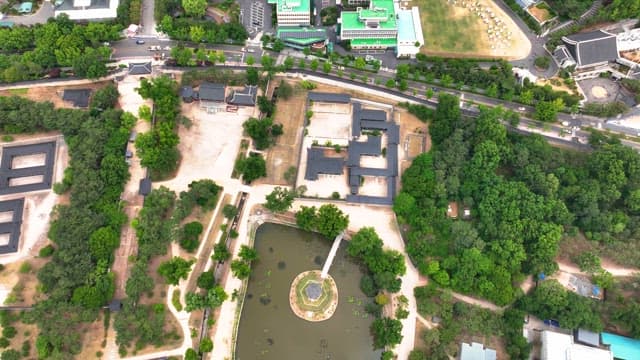 나무에 둘러싸인 한국 전통 궁궐