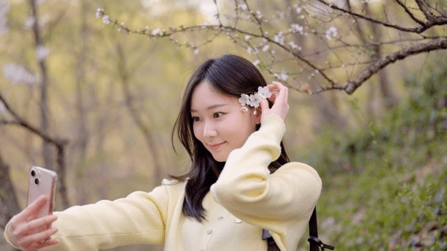 벚꽃과 함께 셀카를 찍는 여성