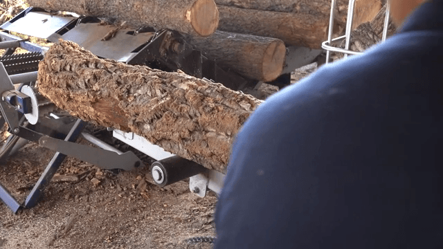 제재소에서 가공되는 통나무