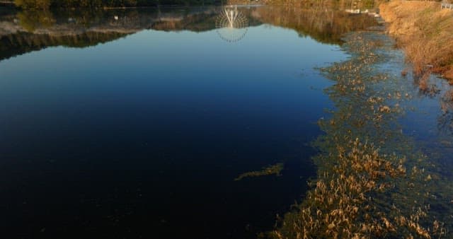 Ferris wheel reflecting on a tranquil lake surrounded by trees