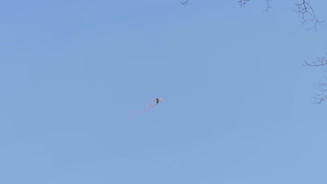 맑은 하늘에 높이 나는 연