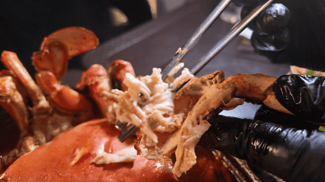 Hands extracting crab meat with chopsticks