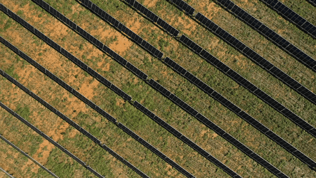 정렬된 태양광 패널들