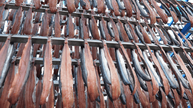 Gwamegi drying outdoors