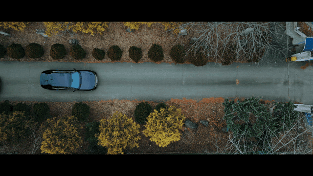 Aerial view of a road with cars and trees