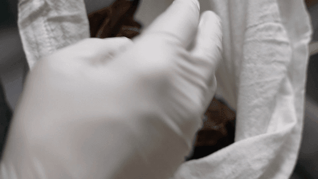 육수 주머니에 담긴 말린 생선 머리