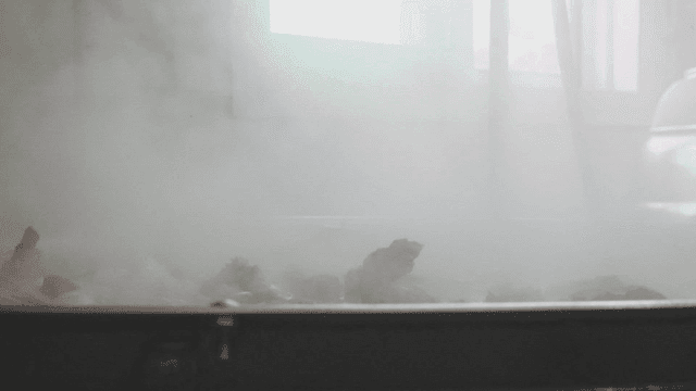 김이 나는 냄비에서 고기가 끓는 모습