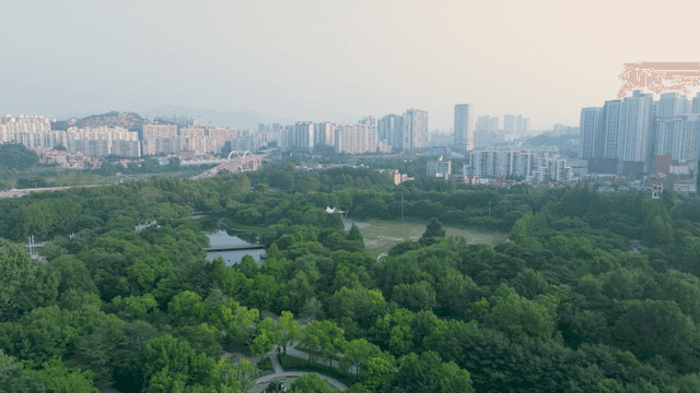 서울 도심 사이 푸른 공원이 있는 풍경