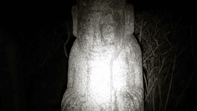 Stone statue in a dark forest