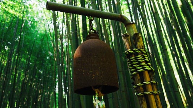 Rusted bell in a bamboo forest swaying in the breeze