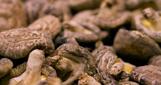 말린 표고버섯의 갈라진 표면 질감