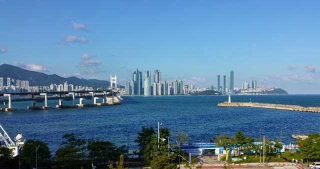 해안도시 부산의 낮부터 밤까지의 분주한 풍경