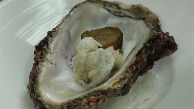 Appetizingly plated fried tropical oyster in plate