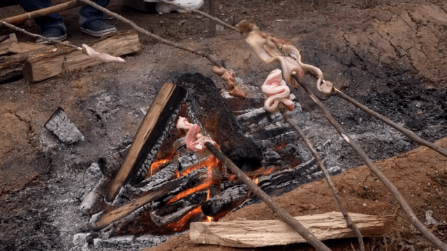 Outdoor cooking with meat over a fire