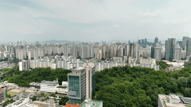 Vast city landscape with lush greenery.