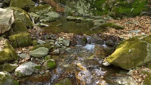 바위 위로 흐르는 작은 시냇물