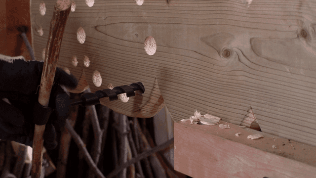 손 도구로 나무에 구멍을 뚫는 모습