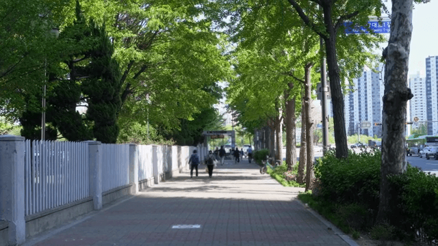 나무가 늘어선 도시 인도에서 걷는 사람들