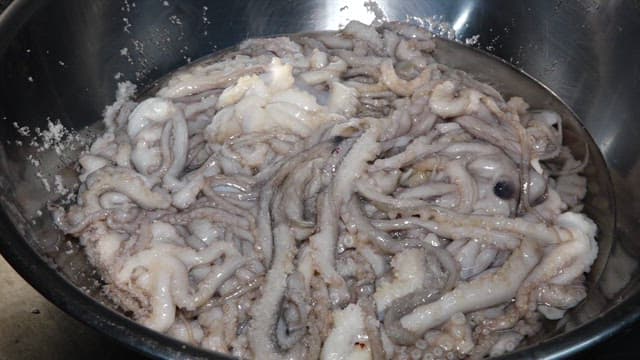 Preparing Fresh Octopus in Kitchen