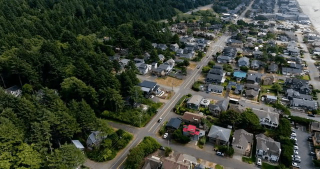 Aerial view of a suburban area with forest