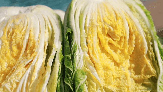 Freshly chopped cabbage