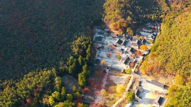 단풍나무로 둘러싸인 사찰