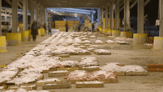 fish market with seafood on display