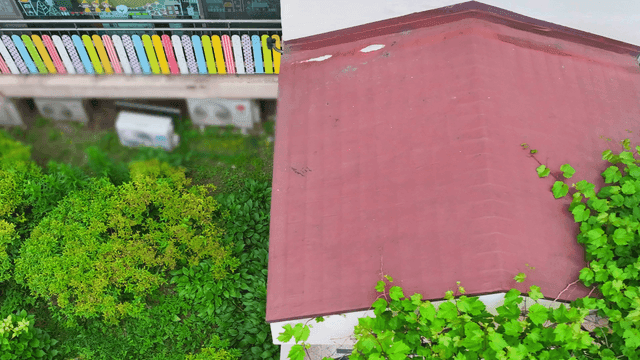 정원이 있는 화려한 건물 외관