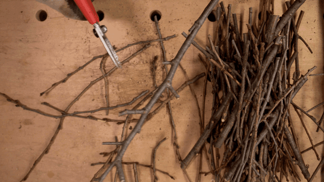 나무 테이블 위에서 잘려지는 가지들