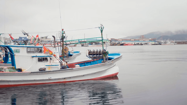 Fishing boats docked at a calm harbor