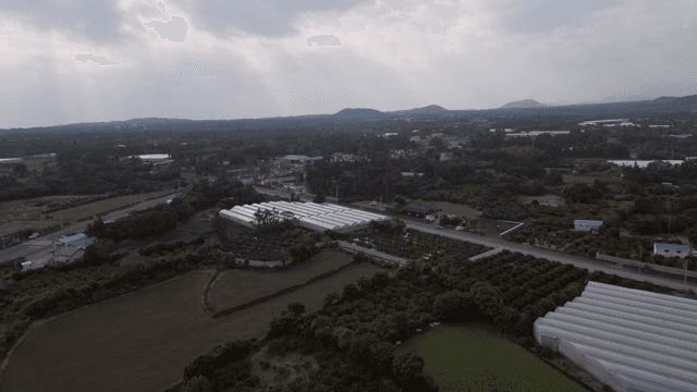 온실이 있는 넓은 농경지