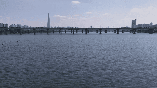 City skyline and birds flying under bridge over river