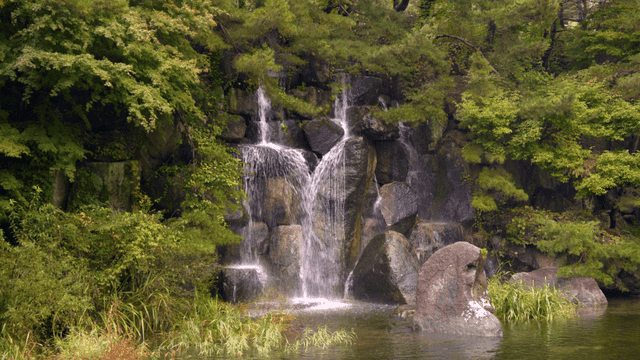 Tranquil waterfall surrounded by green forest