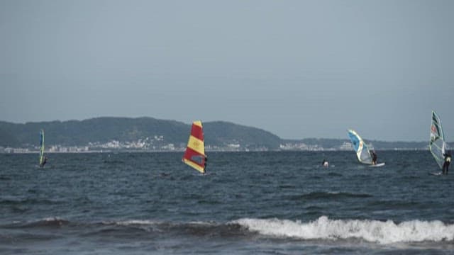 Windsurfers enjoying a clear day at the beach