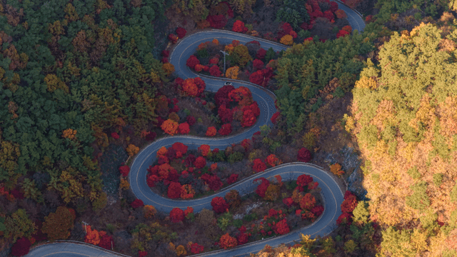 가을빛 숲 속을 흐르는 구불구불한 숲길