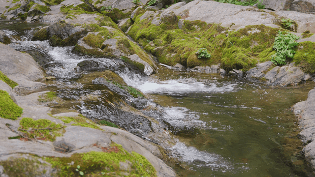 Clear valley water with fast current