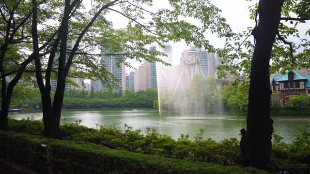 나무로 둘러싸인 호숫가 공원 위로 솟는 분수