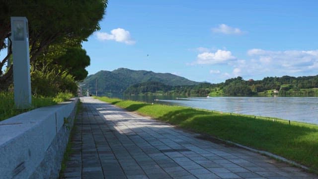 평화로운 강변 산책로와 울창한 녹지
