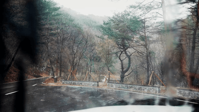 A rainy forest road with misty trees