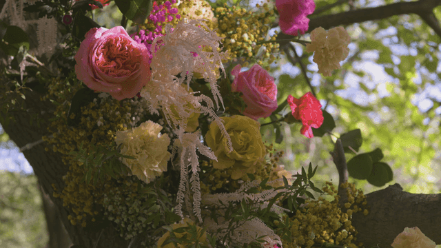 Colorful flowers blooming on a tree