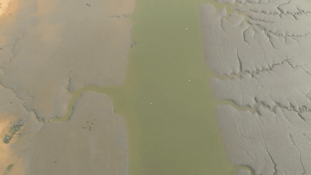 넓게 펼쳐진 갯벌과 바다